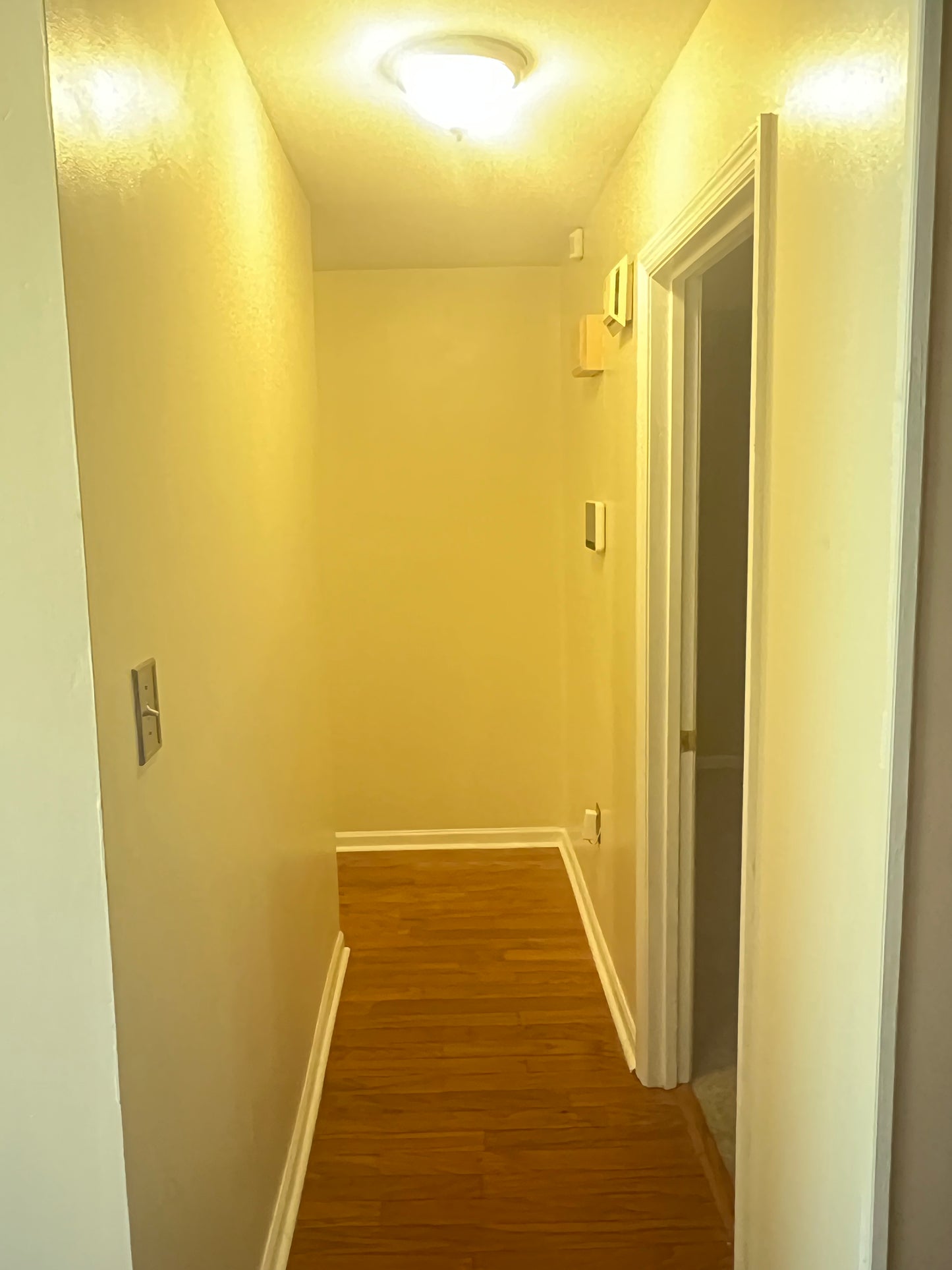 Ref 91023 South Augusta Newly Renovated Brick Home 3+2
