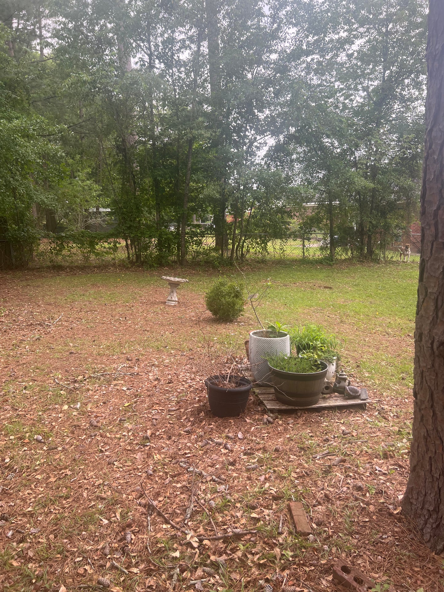 Ref 91023 South Augusta Newly Renovated Brick Home 3+2